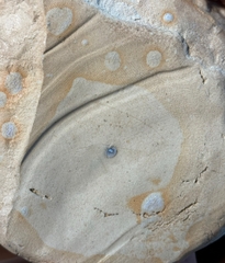 Bát decor đựng đồ khô