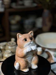 Bé mèo vàng ngộ nghĩnh