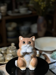 Bé mèo vàng ngộ nghĩnh