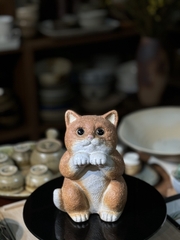 Bé mèo vàng ngộ nghĩnh