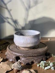 Cốc mộc Hagi hồng