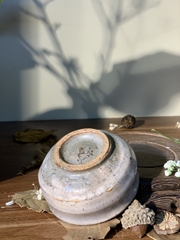 Cốc mộc Hagi hồng