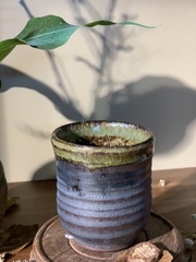 Cốc mộc lòng rêu