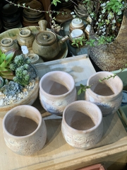 Set 5c hoa đào độc đáo