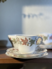 Set Trà chiều sứ xương cao cấp Anh Quốc Wedgwood- BST Ivy House - Hàng Sưu Tầm