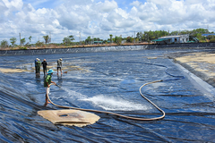 Biện pháp diệt khuẩn ao tôm hiệu quả, hạn chế nhiễm bệnh