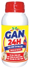 GAN 24H