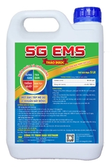 SG EMS