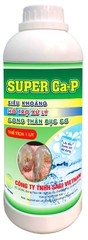 SUPER Ca-P