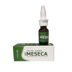 Meseca fort