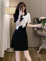 OD633: đầm ôm thiết kế kiểu hàn quốc