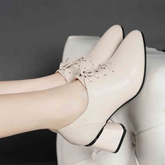 C260: Giày da Nữ Thời Trang Gót Dày cao cấp