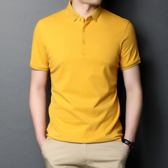 Mã B219: Áo thun polo nam phong cách Hàn Quốc