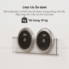 Kệ Trưng Bày Micofi Trong Suốt, Kệ Treo Trang Trí Acrylic, Giá Treo Sách Tạp Chí Báo Decor Album Gắn Tường Tiện Lợi