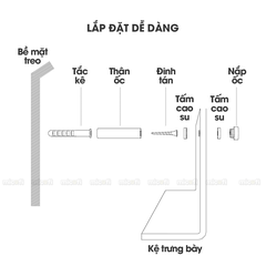 Kệ Trưng Bày Micofi Trong Suốt, Kệ Treo Trang Trí Acrylic, Giá Treo Sách Tạp Chí Báo Decor Album Gắn Tường Tiện Lợi