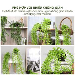 Chậu Cây Giả Dây Leo Micofi Trang Trí Nhựa Decor Ban Công, Cây Dây Leo Rủ Lá Cảnh Nhân Tạo Decor Phòng Ngủ Phòng Khách