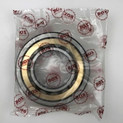 Bạc Đạn/Vòng Bi BOX- MODEL:  NU-207-EM