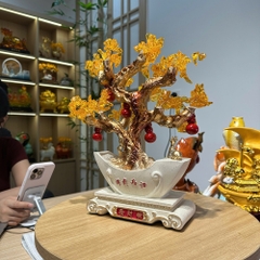 Cây tài lộc ngũ phúc phong thủy 28x10x32cm – Trang trí decor quà tặng tân gia khai trương sinh nhật