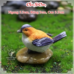 Tượng Chim Sẻ mini Trang Trí Tiểu Cảnh Terrarium, DIY , Cây Bonsai.
