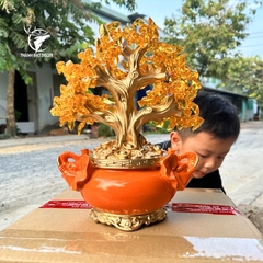 Cây Phú Quý Tài Lộc Tượng Hươu, Cây Kim Tiền Vàng Phong Thủy, Quà Tặng Tân Gia Khai Trương Sinh Nhật