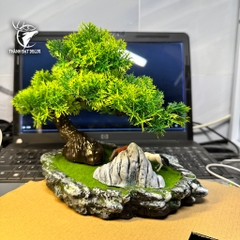 Combo Tiểu Cảnh Cây BonSai,  Mô Hình Tháp Cổ Trang Trí Bể Cá Thủy Sinh, Hòn Non Bộ
