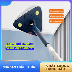 Cây lau nhà tam giác