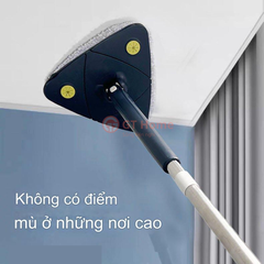 Cây lau nhà tam giác