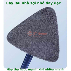 Cây lau nhà tam giác