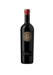 VANG CHILE OCHAGAVIA - ICON 13.5% 75CL