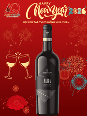 RƯỢU VANG Ý DUE PALME "ALBA" NEGROAMARO SALENTO IGP