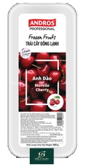 ANH ĐÀO ĐÔNG LẠNH HỘP 550G