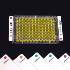 SealPlate Films with ColorTab End Tabs, hộp 100 tấm, hãng Biologix-USA