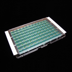 Tấm Film dán đĩa 50µm (ThermalSeal RTS Sealing Films), hộp 50 tấm/100 tấm, hãng Biologix