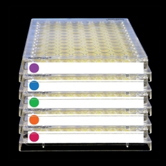 SealPlate Films with ColorTab End Tabs, hộp 100 tấm, hãng Biologix-USA