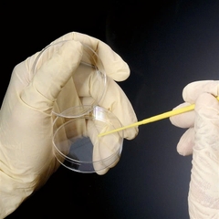 Que cấy vi sinh đầu kim, Hãng Biologix-USA