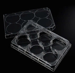 Tấm nuôi cấy tế bào (Cell Culture Plates), hãng Biologix-USA