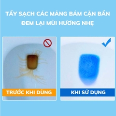 Viên thả tẩy bồn cầu gói 10 viên - Việt Nhật Plastic HN