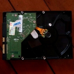 Ổ cứng gắn trong máy tính HDD Western Digital 160GB Green [GJ]