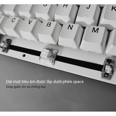 Bàn phím cơ Bluetooth RGB Hotswap FLEsport F12
