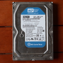 Ổ cứng máy tính 2nd, HDD 250GB, 320GB, 1TB các hãng SamSung, WD, Hitachi [GJ]