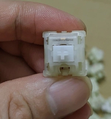 65 switch GATERON milky clear cho bàn phím cơ