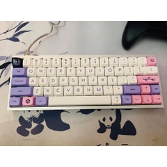 Bàn phím cơ Custom mạch DZ60