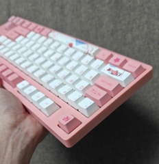 Bàn Phím Cơ Akko 3087 V2 - Tokyo World Tour (Cũ) - Switch Akko Pink | MKShop