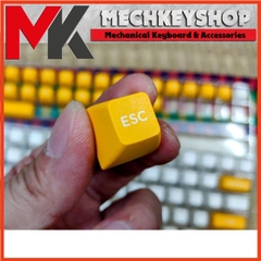 Bộ Keycap FSA Banana PBT Double shot cho bàn phím cơ