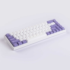 Bộ Keycap 68 phím White Purple PBT double shot tháo phím NJ68