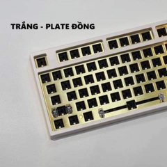 KIT Bàn phím cơ không dây Keydous NJ81 | MẠCH XUÔI | HOTSWAP Led RGB | Type C | Bluetooth 5.0 | Wireless 2.4G