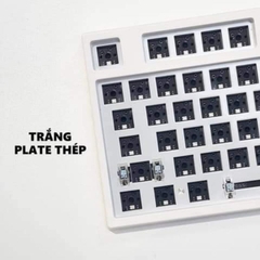 KIT Bàn phím cơ không dây Keydous NJ81 | MẠCH XUÔI | HOTSWAP Led RGB | Type C | Bluetooth 5.0 | Wireless 2.4G