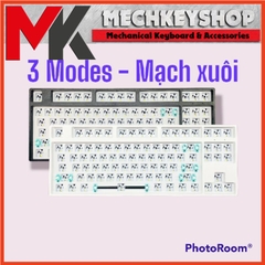 Kit bàn phím cơ Player 87 - 3 Modes Mạch xuôi Hotswap RGB