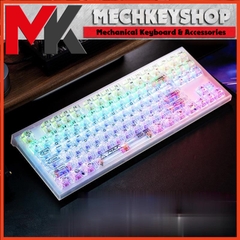 Bàn phím cơ Aula F3032 3 modes Hotswap RGB xuyên thấu cực đẹp