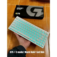 Bàn Phím Cơ MCHOSE G75 Trắng - LED Đơn Sắc, 3 Chế Độ Kết Nối | MKShop